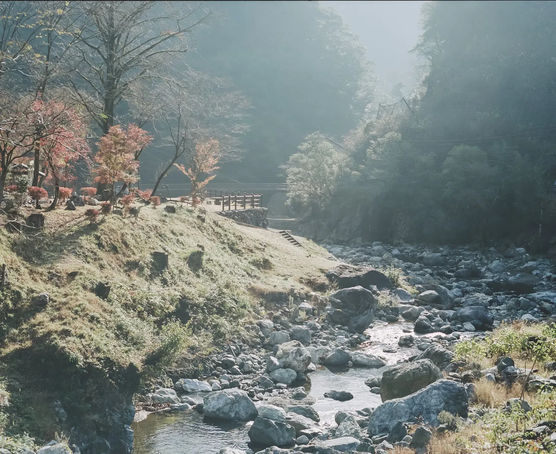 秋の木々に囲まれた五木村の渓流