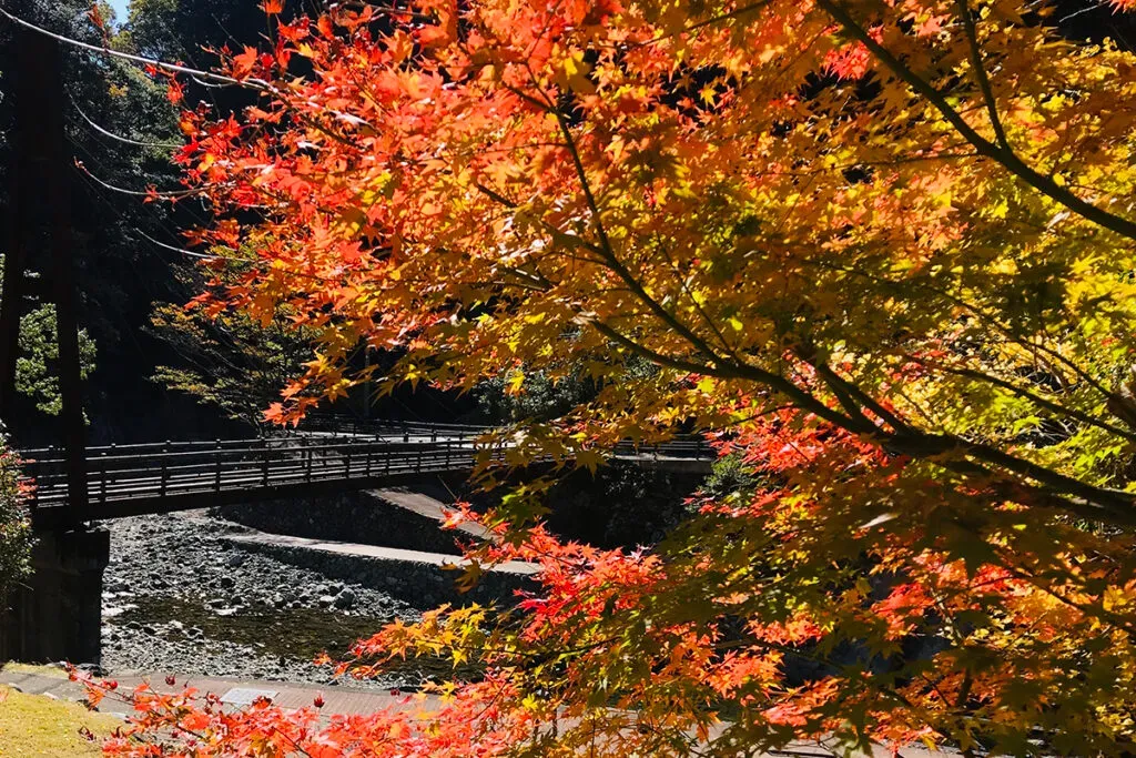 白滝公園